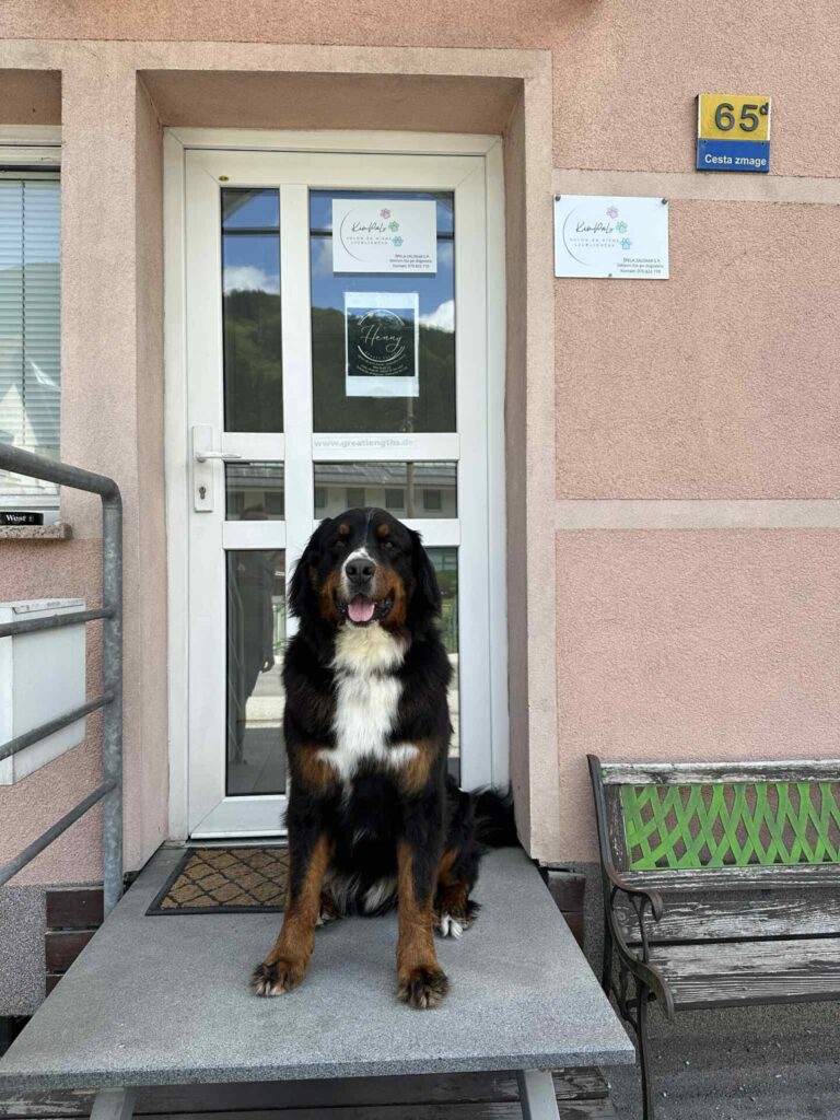 pasji salon - pred vhodom, maneken